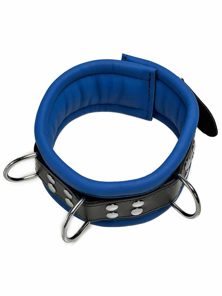 Leder-Halsband gepolstert Blau - 3 D-Ringe - 6,5cm