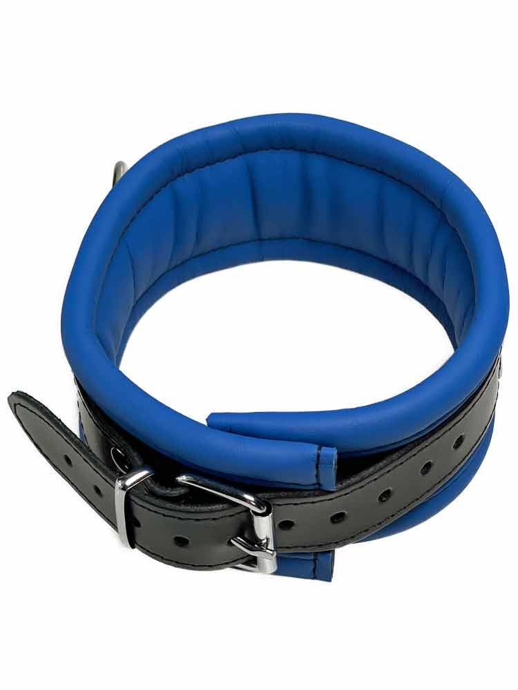 Leder-Halsband gepolstert Blau - 3 D-Ringe - 6,5cm