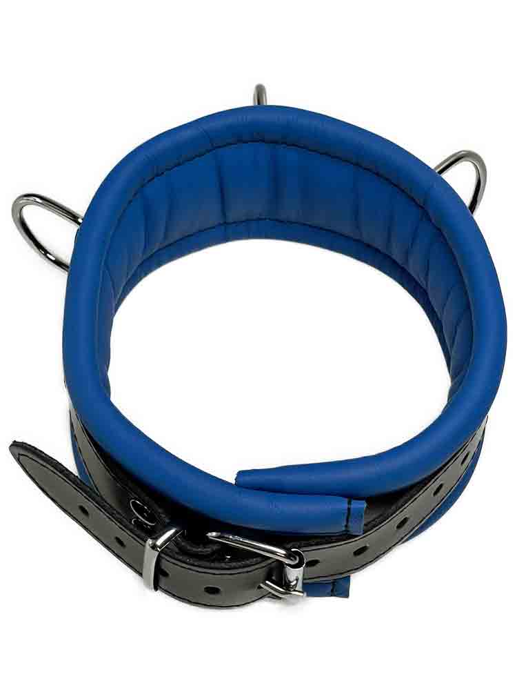 Leder-Halsband gepolstert Blau - 3 D-Ringe - 6,5cm