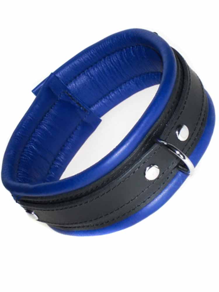 Leder-Halsband, gepolstert blau 5cm