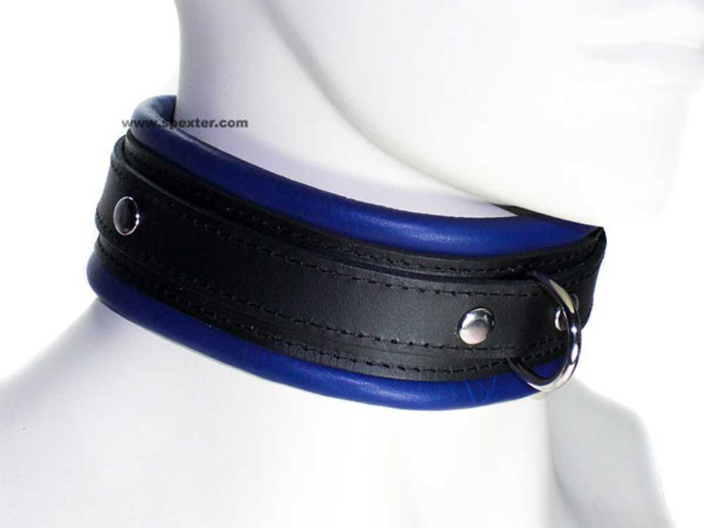 Leder-Halsband, gepolstert blau 5cm