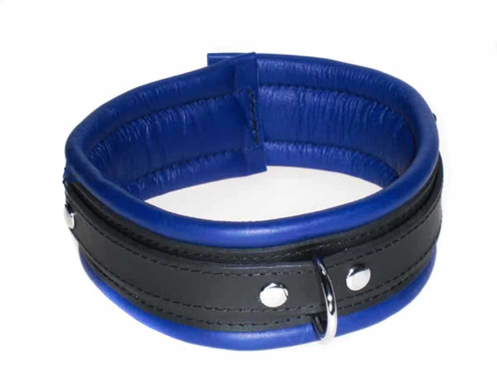 Leder-Halsband, gepolstert blau 5cm