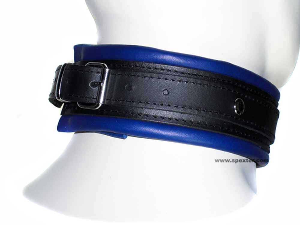 Leder-Halsband, gepolstert blau 5cm