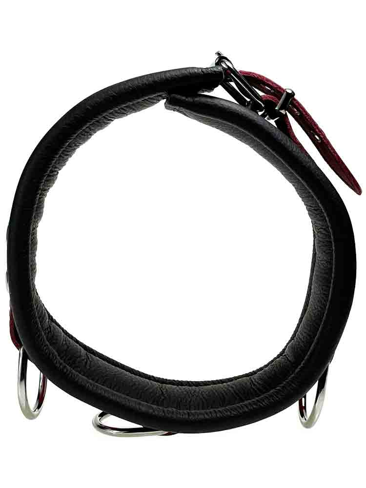 Leder-Halsband gepolstert Fuchsia-Pink - 3 D-Ringe - 6,5cm