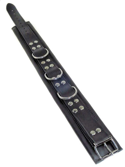 Leder-Halsband gepolstert schwarz - 3 D-Ringe - 6,5cm