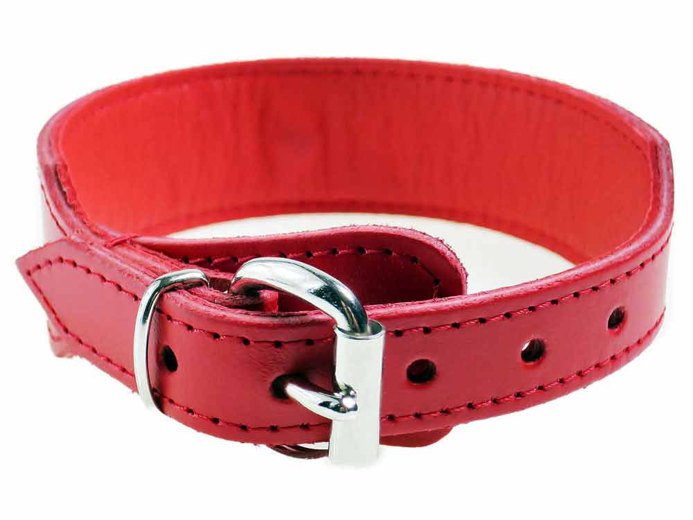 Leder-Halsband PASSION & Ring der O - rot