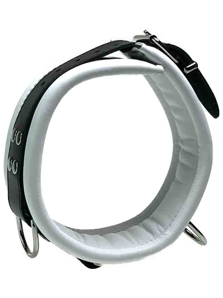 Leder-Halsband gepolstert weiss - 3 D-Ringe - 6,5cm