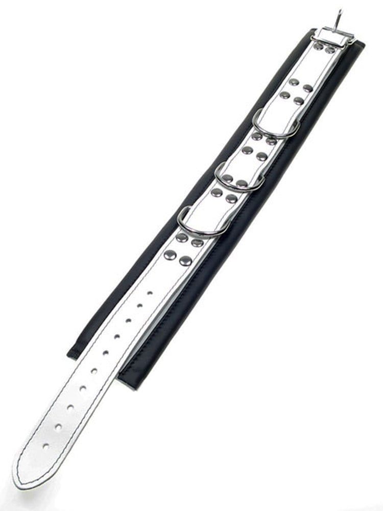 Leder-Halsband gepolstert schwarz-weiss - 3 D-Ringe - 6,5cm