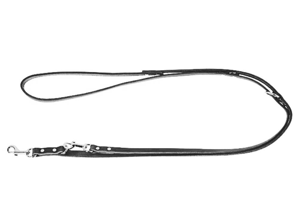 Hundeleine Führleine 2 Meter schwarz