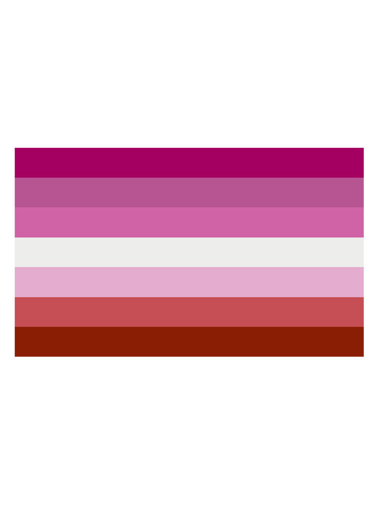 Lesben - Lesbian Flagge 90x150cm