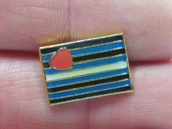 Leather Pride - rechteckiger Pin