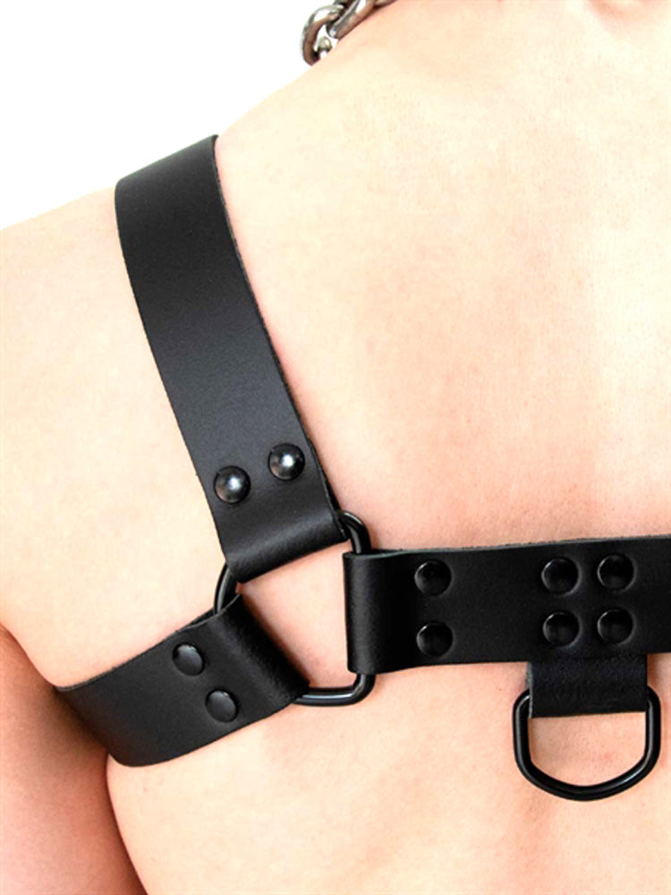 Mister B Leather Chest/Brust Harness Saddle Leather schwarz