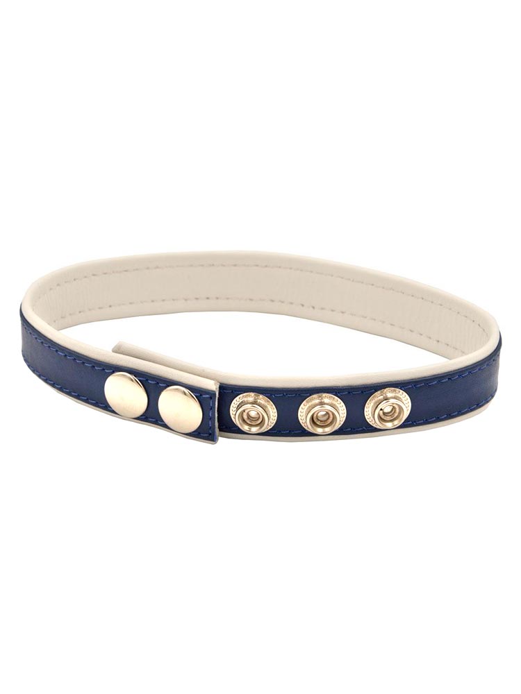 Mister B Leder Circuit Bizepsband blau - weiss
