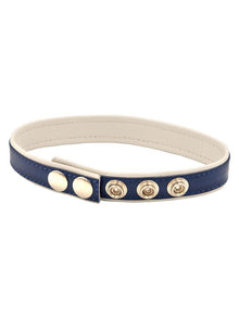 Mister B Leder Circuit Bizepsband blau - weiss
