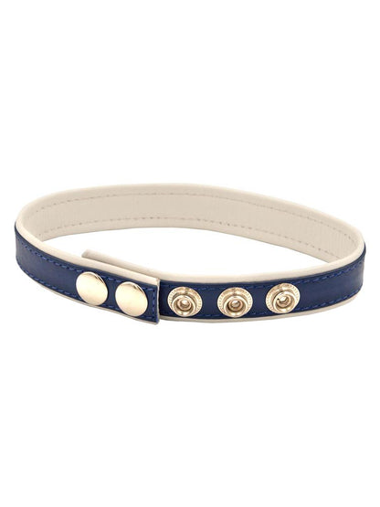 Mister B Leder Circuit Bizepsband blau - weiss