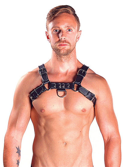 Mister B Leather Chest/Brust Harness, schwarz-schwarz - S