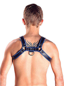 Mister B Leather Chest/Brust Harness, schwarz-blau