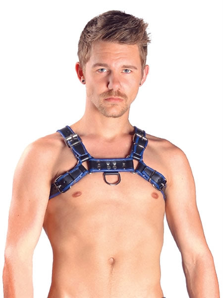 Mister B Leather Chest/Brust Harness, schwarz-blau - S
