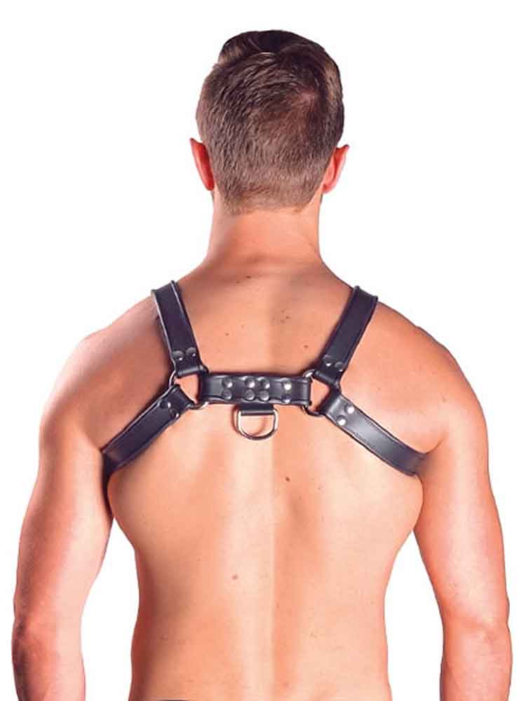 Mister B Leather Chest/Brust Harness, schwarz-grau