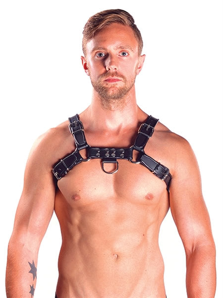 Mister B Leather Chest/Brust Harness, schwarz-grau - S