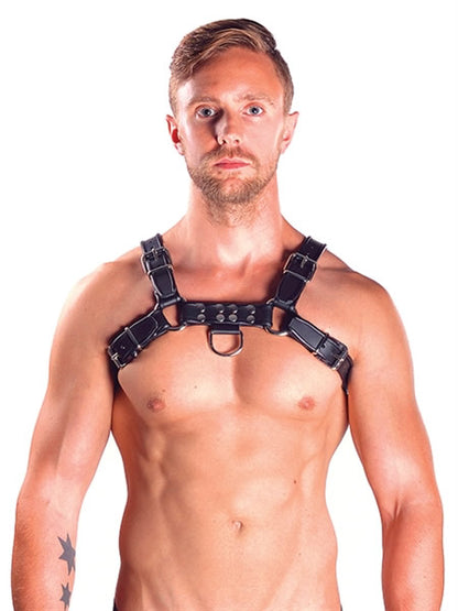 Mister B Leather Chest/Brust Harness, schwarz-grau - S