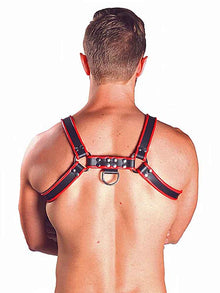 Mister B Leather Chest/Brust Harness, schwarz-rot