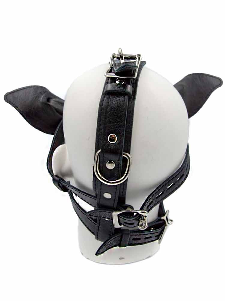 Mister B Leder Pig Kopfharness schwarz