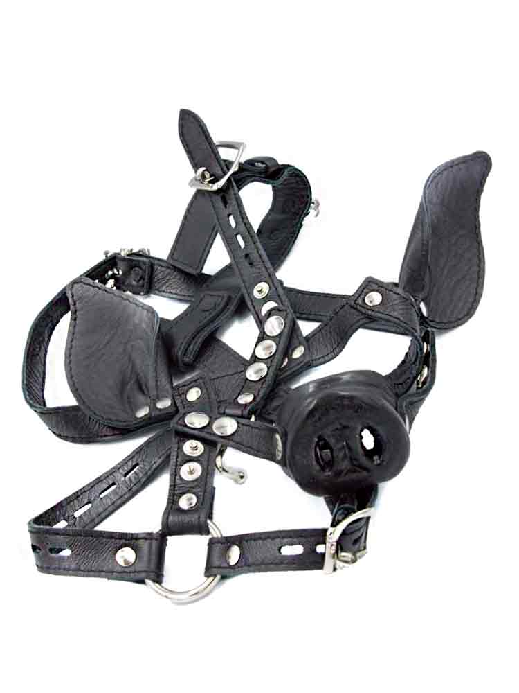 Mister B Leder Pig Kopfharness schwarz