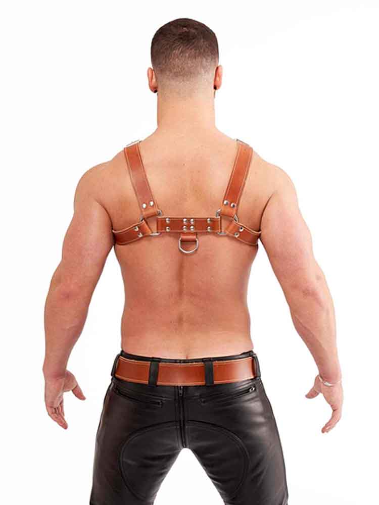 Mister B Signature Harness Braun