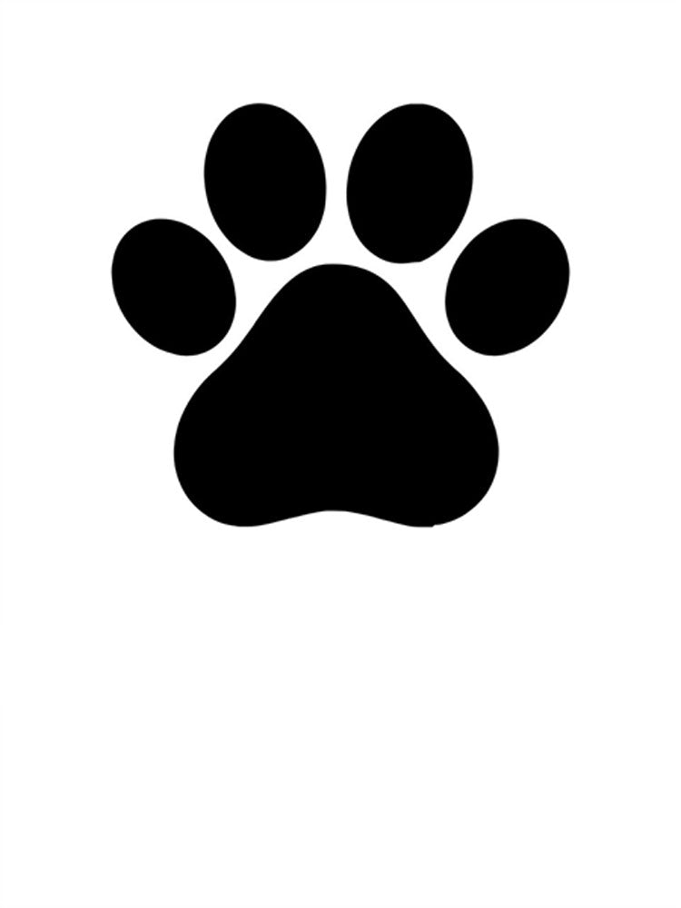 Mister B Temporary Tattoo PUPPY Paw and Bone