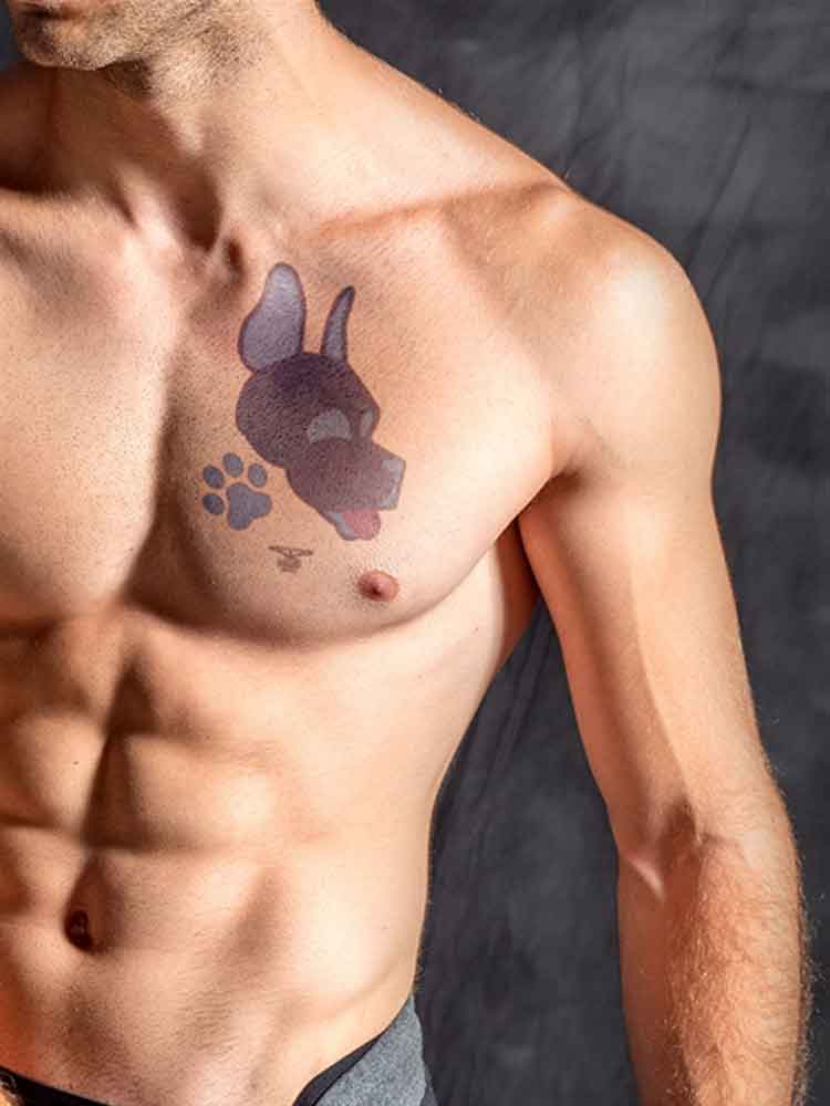 Mister B Temporary Tattoo PUPPY