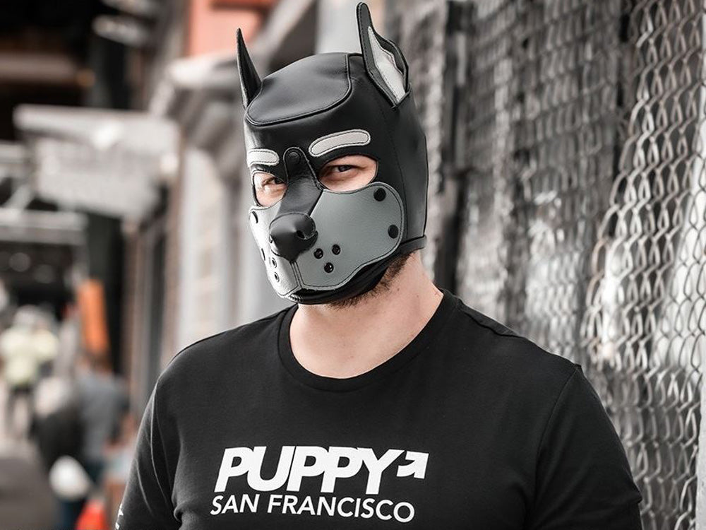 Mister S Leather K9 Puppy Hood schwarz-grau