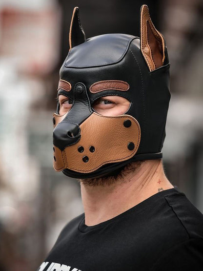 Mister S Leather K9 Puppy Hood tanbraun