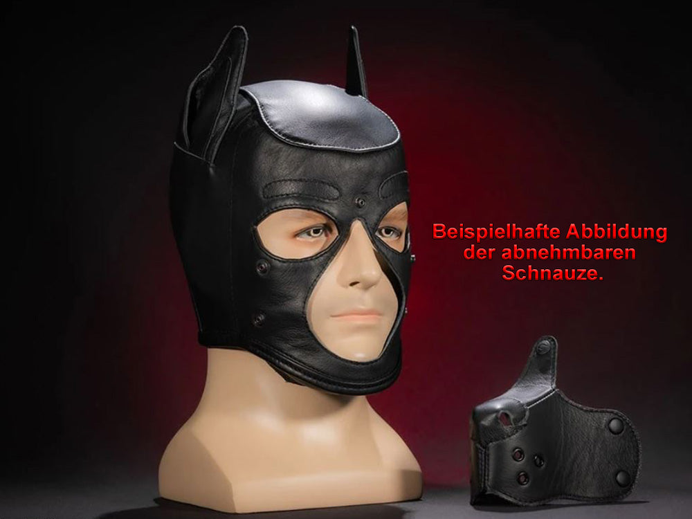 Mister S Leather K9 Puppy Hood tanbraun