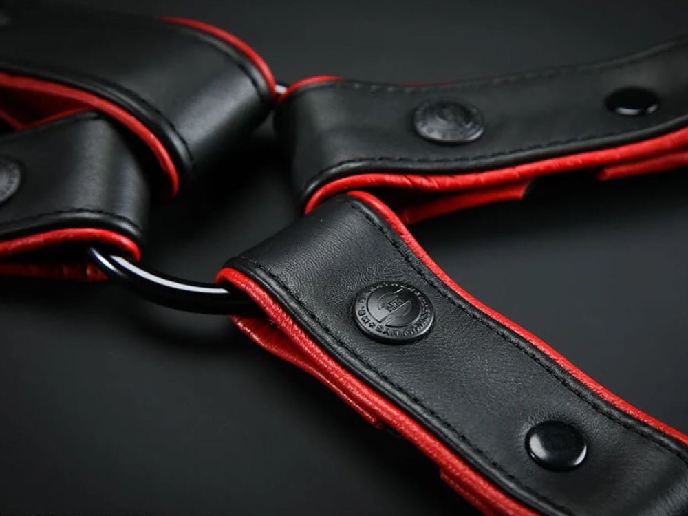 MISTER S Leather Leg Harness - schwarz-rot
