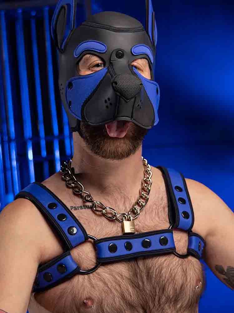Mister S Neo BOLD COLOR BULLDOG Harness - blau