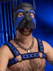 Mister S Neo BOLD COLOR BULLDOG Harness - blau