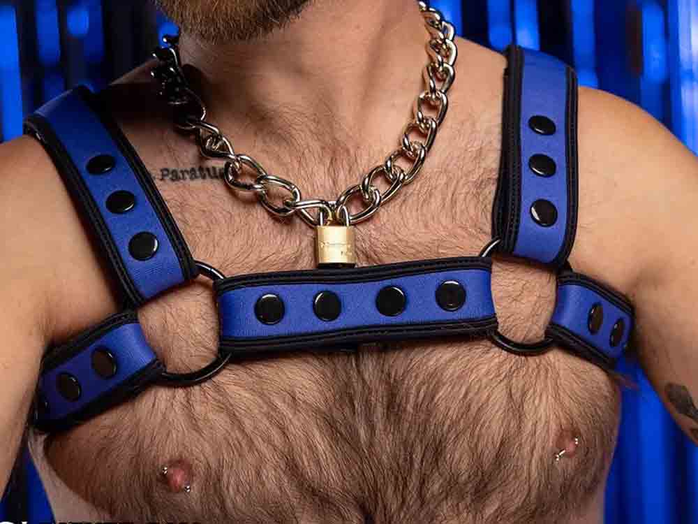 Mister S Neo BOLD COLOR BULLDOG Harness - blau