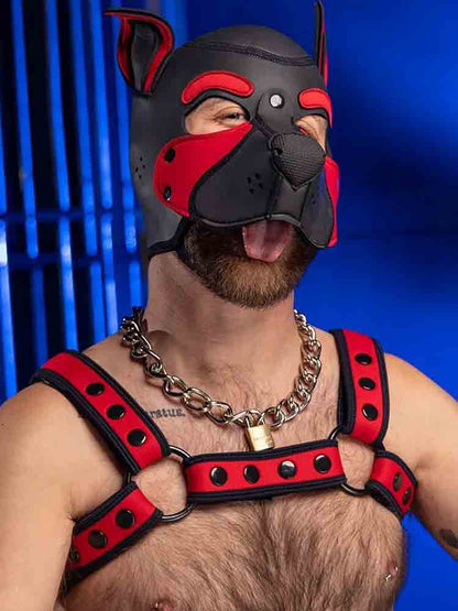 Mister S Neo BOLD COLOR BULLDOG Harness - rot