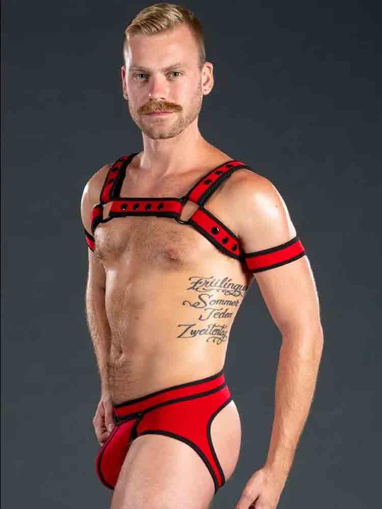 Mister S Neo BOLD COLOR BULLDOG Harness - rot
