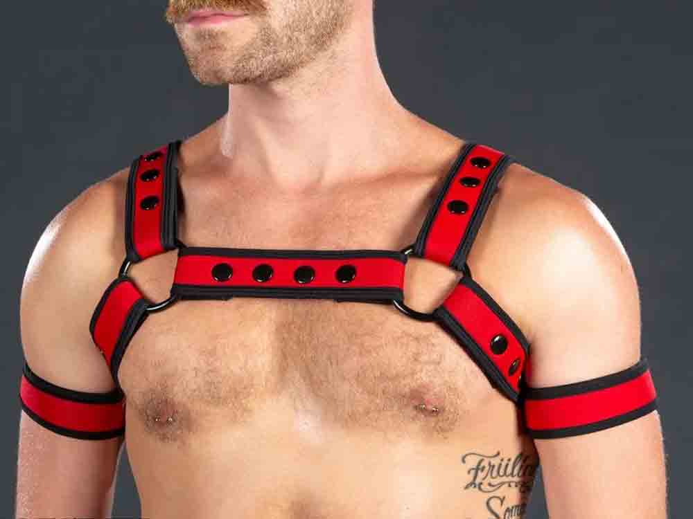 Mister S Neo BOLD COLOR BULLDOG Harness - rot