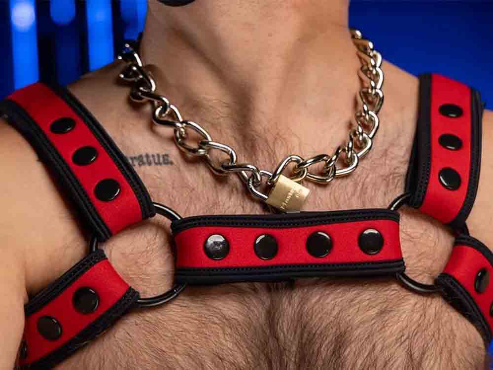 Mister S Neo BOLD COLOR BULLDOG Harness - rot