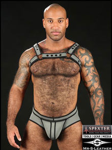 Mister S Neo BOLD COLOR BULLDOG Harness - grau