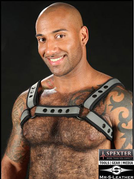 Mister S Neo BOLD COLOR BULLDOG Harness - grau