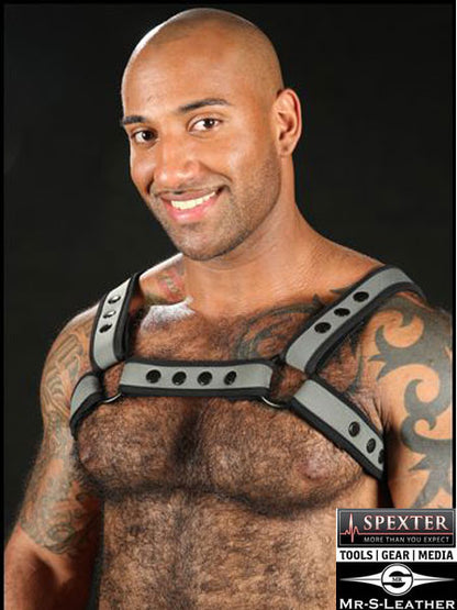 Mister S Neo BOLD COLOR BULLDOG Harness - grau