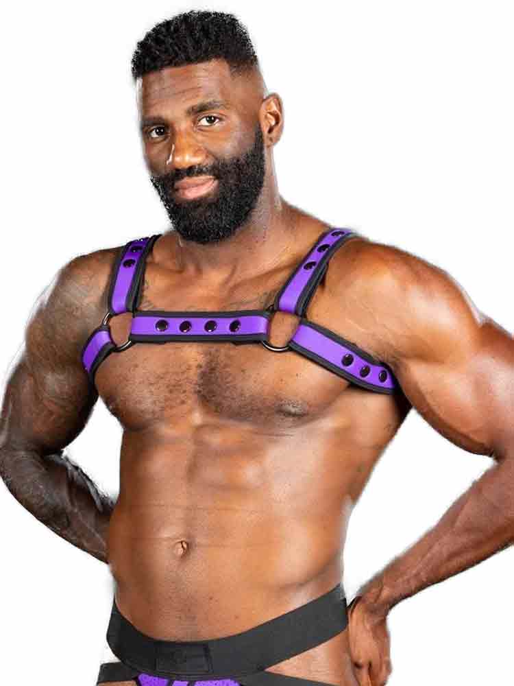 Mister S Neo BOLD COLOR BULLDOG Harness - purple