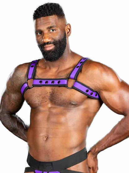Mister S Neo BOLD COLOR BULLDOG Harness - purple