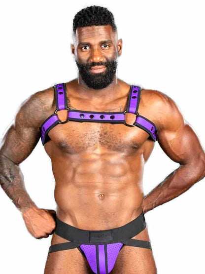Mister S Neo BOLD COLOR BULLDOG Harness - purple