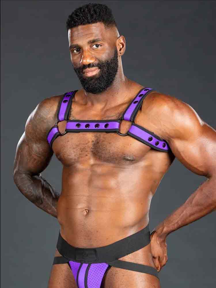 Mister S Neo BOLD COLOR BULLDOG Harness - purple