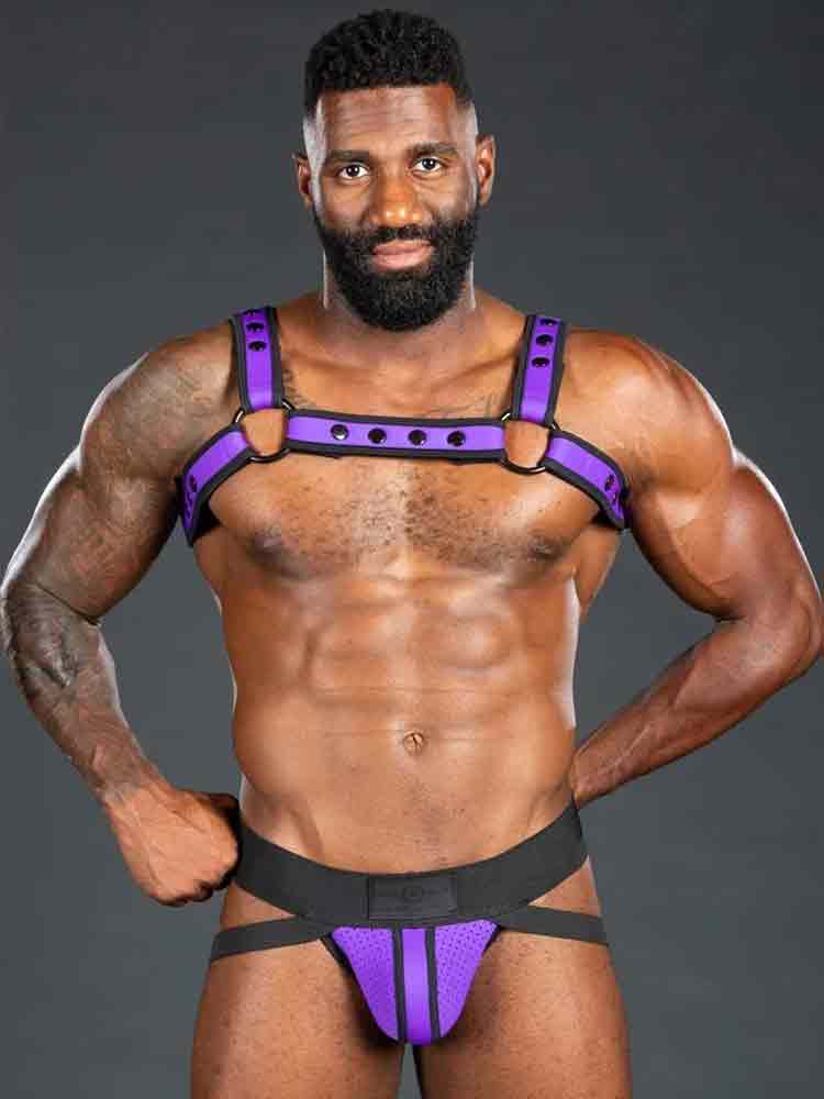 Mister S Neo BOLD COLOR BULLDOG Harness - purple